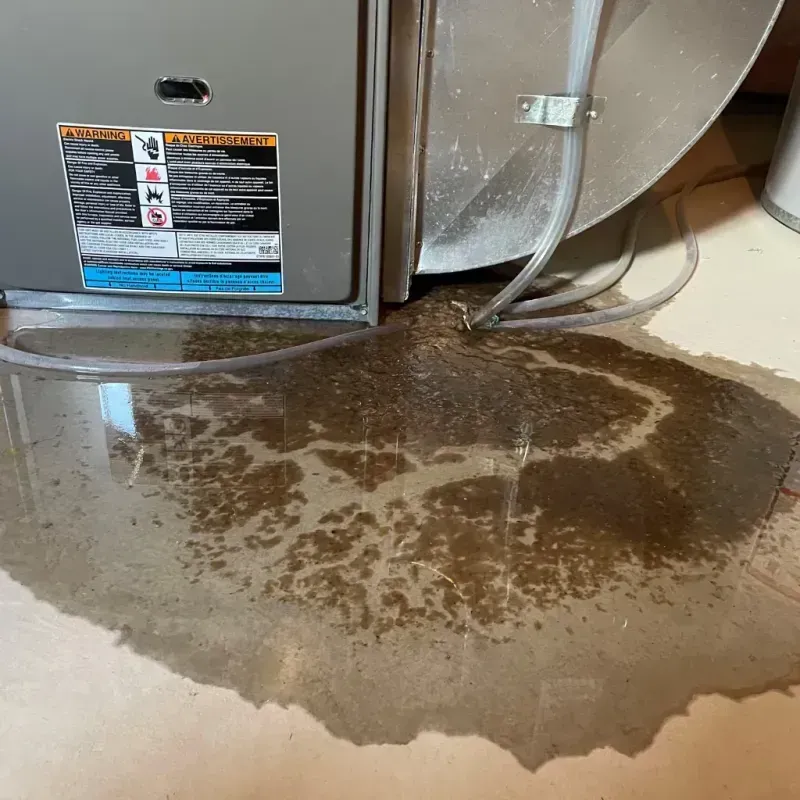 Appliance Leak Cleanup in Midtown, TN